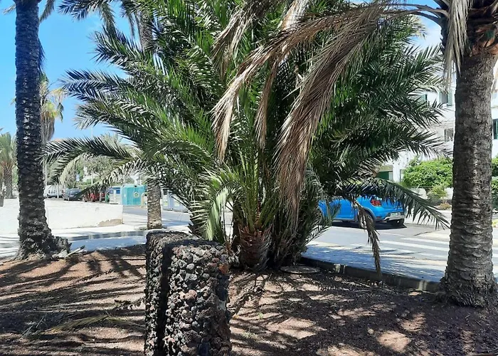 Avenna House In Costa Del Silencio Lejlighed Arona (Tenerife)